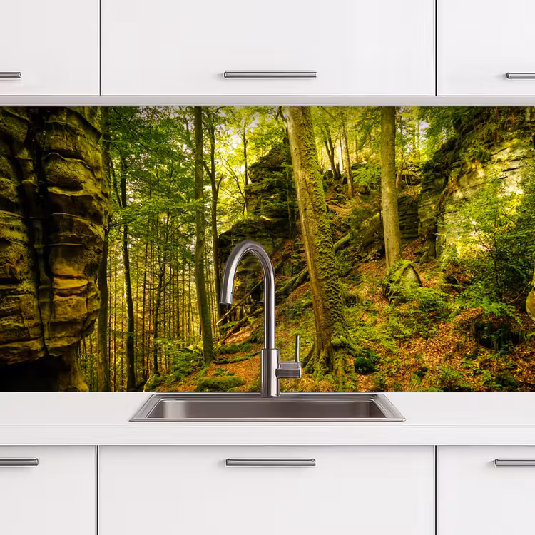 Keuken achterwand - Bomen - Steen - Bos - Natuur - Planten — 3