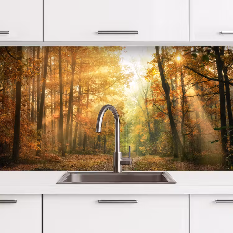 Keuken achterwand - Bos - Herfst - Zon - Landschap - Natuur - Bomen - Bladeren — 3