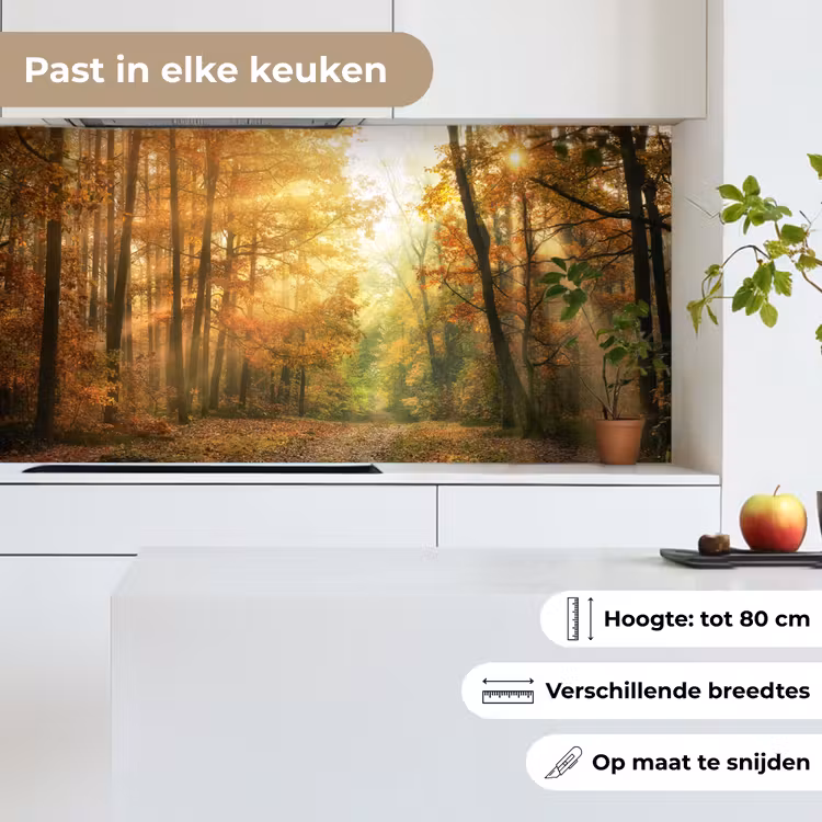 Keuken achterwand - Bos - Herfst - Zon - Landschap - Natuur - Bomen - Bladeren — 6