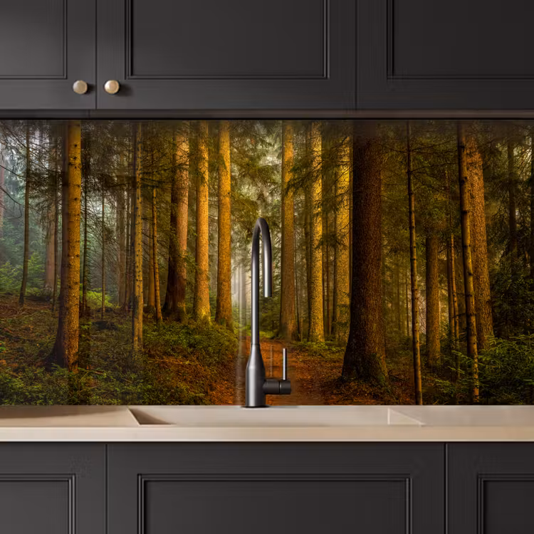 Keuken achterwand - Bos - Natuur - Bomen - Landschap - Bladeren — 4