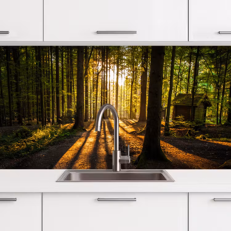 Keuken achterwand - Zon - Bomen - Bos - Landschap - Natuur — 3