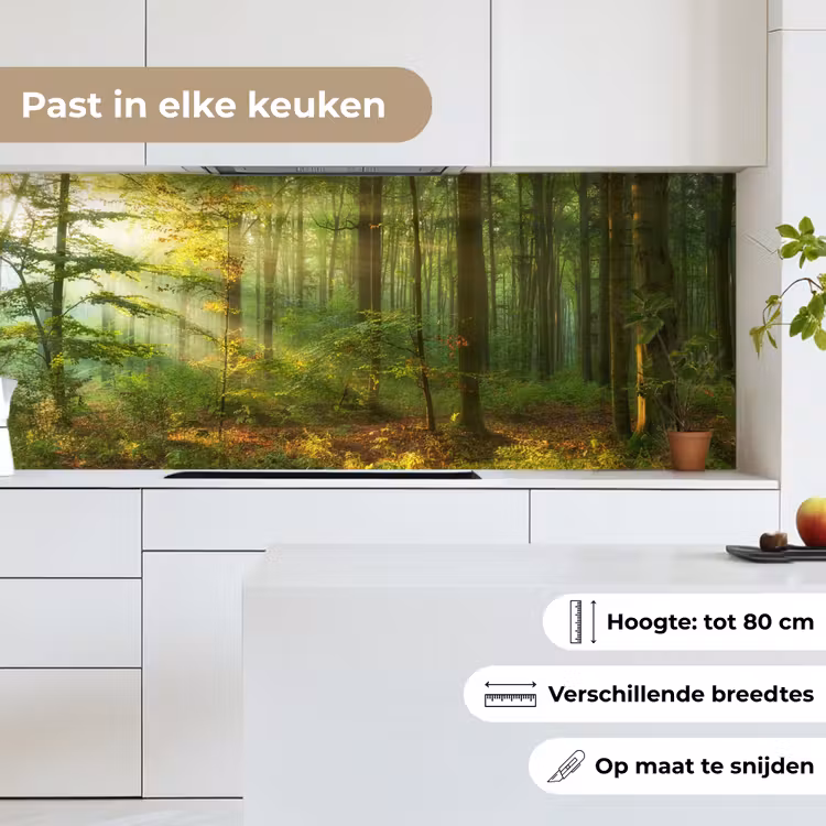 Keuken achterwand - Zon - Bos - Bomen - Natuur - Herfst — 7