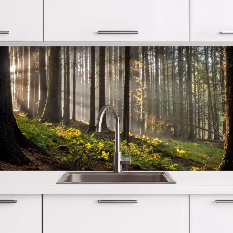 Keuken achterwand - Zon - Takken - Bomen - Bos - Natuur — 3
