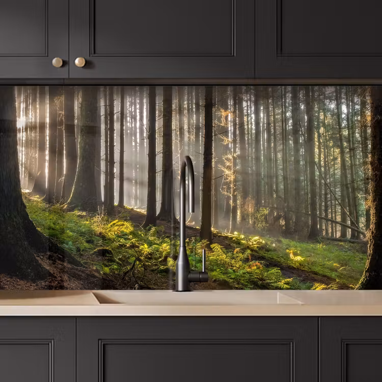 Keuken achterwand - Zon - Takken - Bomen - Bos - Natuur — 4