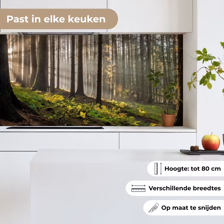 Keuken achterwand - Zon - Takken - Bomen - Bos - Natuur — 6