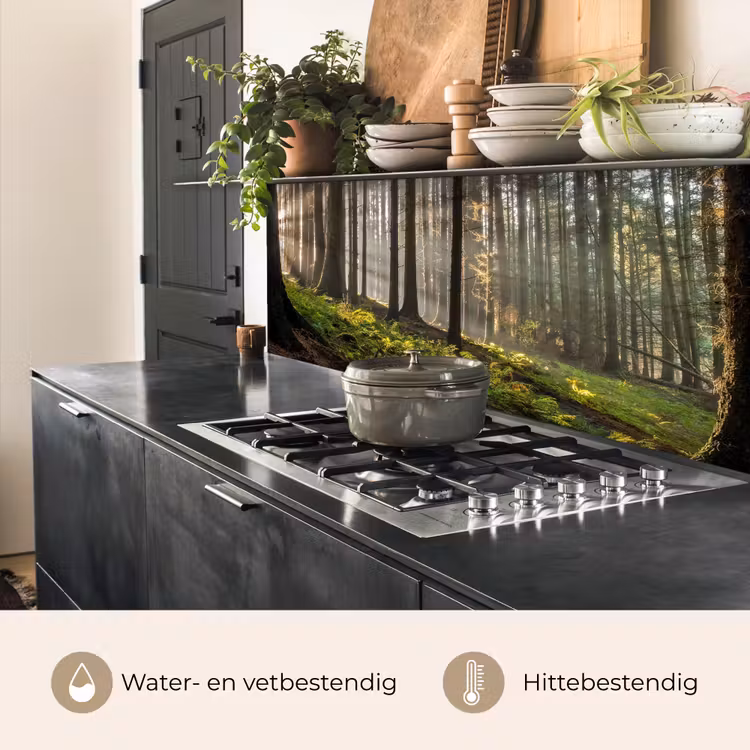 Keuken achterwand - Zon - Takken - Bomen - Bos - Natuur — 7