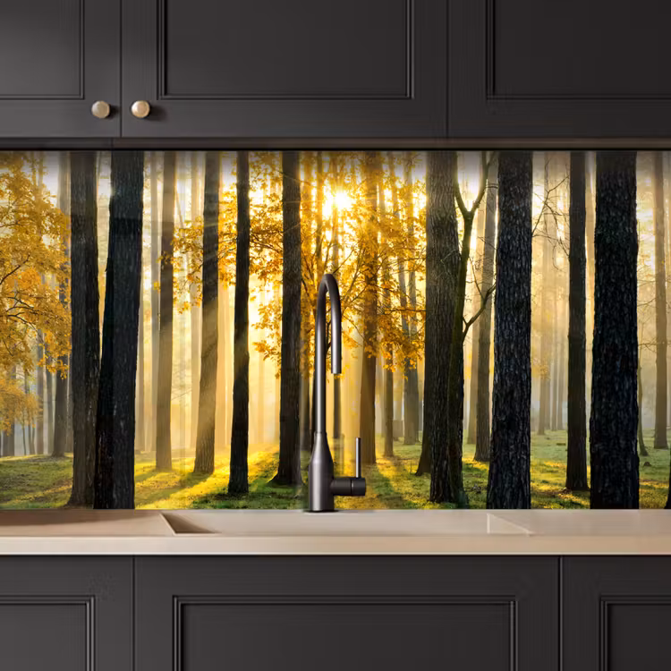 Keuken achterwand - Bos - Zon - Bomen - Gras - Landschap - Natuur — 4