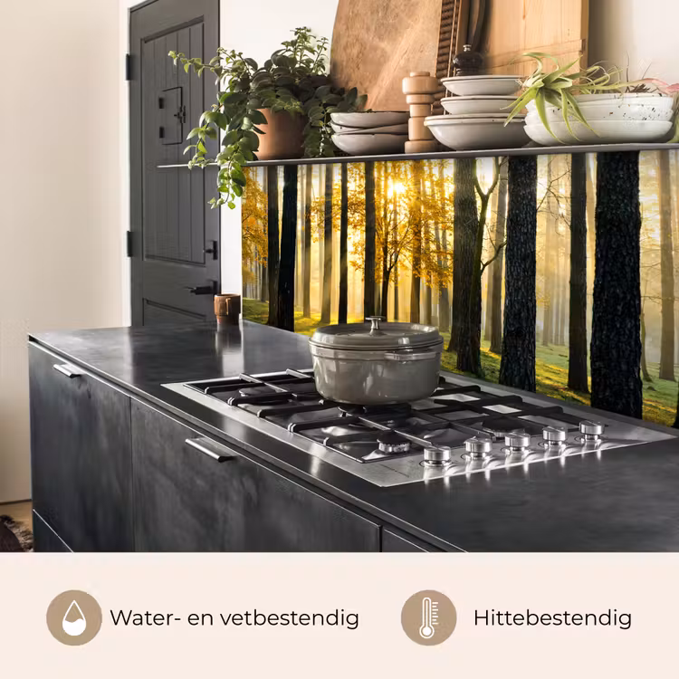 Keuken achterwand - Bos - Zon - Bomen - Gras - Landschap - Natuur — 7