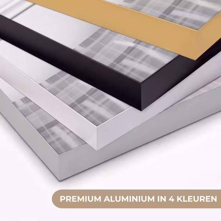 Art Frame - Kat - Siamees - Zwart Wit - Schattig - Dieren — 5