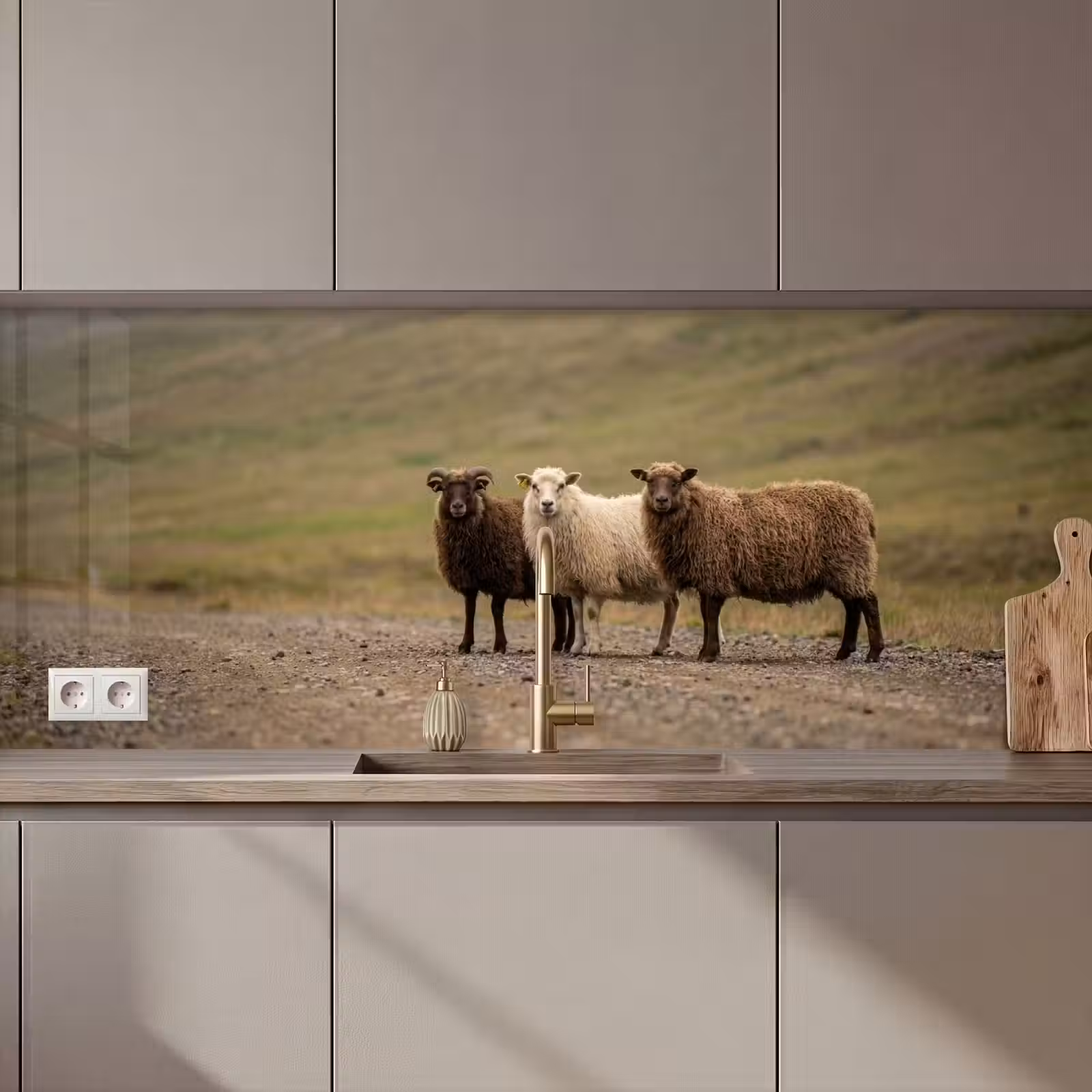 Keuken achterwand - Schapen - Bruin - Wit - Grindpad — 1