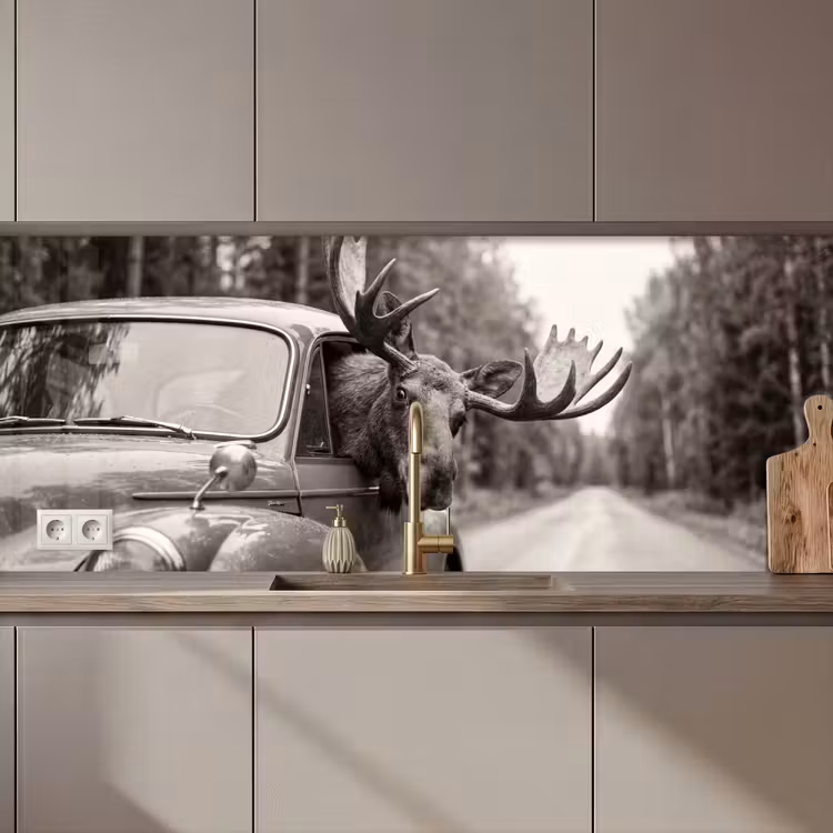 Keuken achterwand - Eland - Auto - Gewei - Zwart - Wit — 1