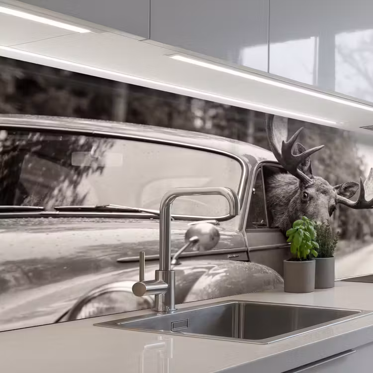 Keuken achterwand - Eland - Auto - Gewei - Zwart - Wit — 2