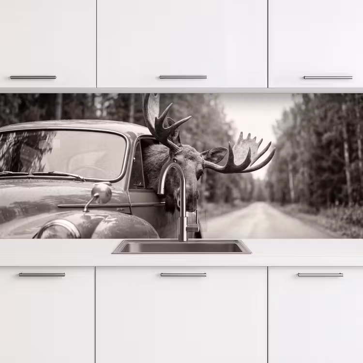 Keuken achterwand - Eland - Auto - Gewei - Zwart - Wit — 4