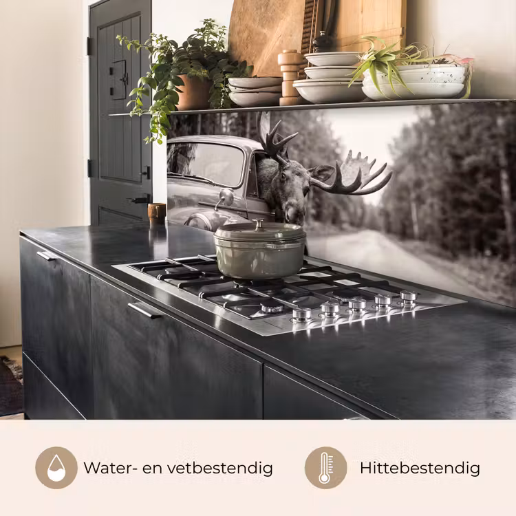 Keuken achterwand - Eland - Auto - Gewei - Zwart - Wit — 5