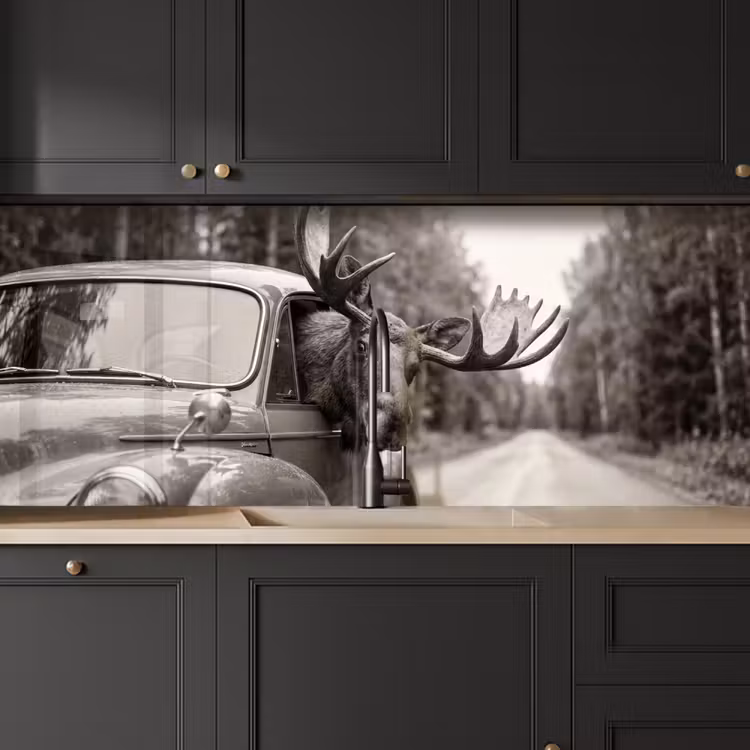 Keuken achterwand - Eland - Auto - Gewei - Zwart - Wit — 6