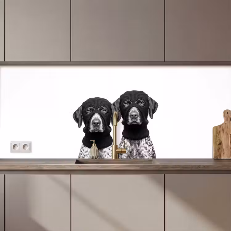 Keuken achterwand - Honden - Bivakmuts - Zwart - wit — 1
