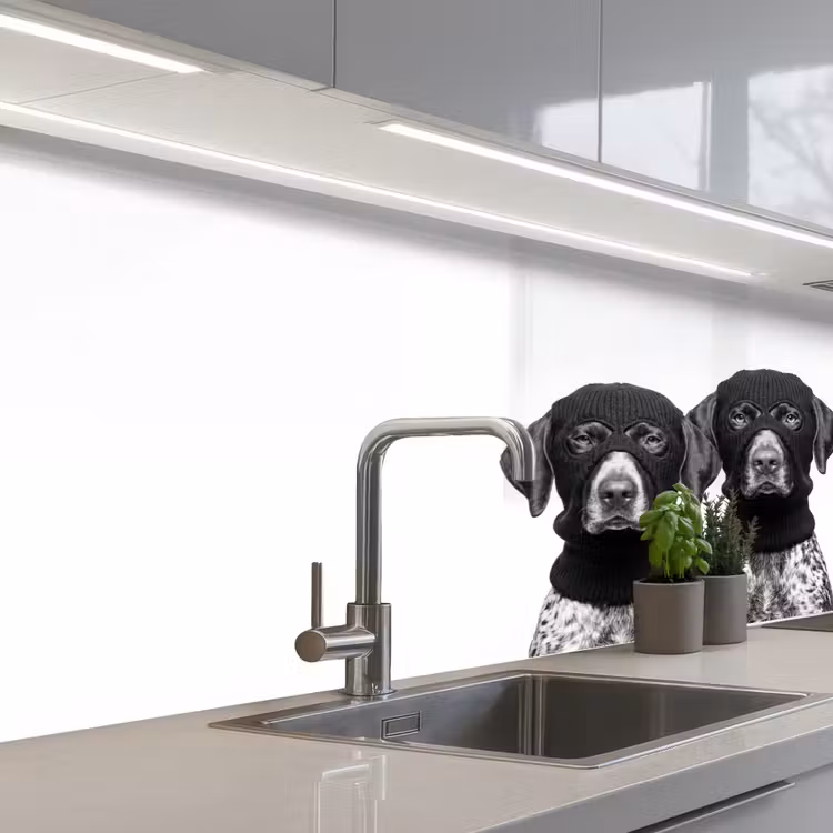 Keuken achterwand - Honden - Bivakmuts - Zwart - wit — 2