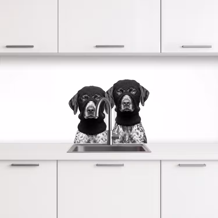 Keuken achterwand - Honden - Bivakmuts - Zwart - wit — 4