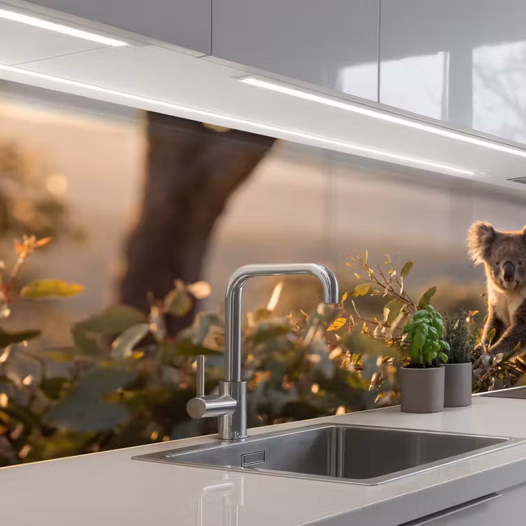 Keuken achterwand - Koala - Bladeren - Ochtendlicht — 2