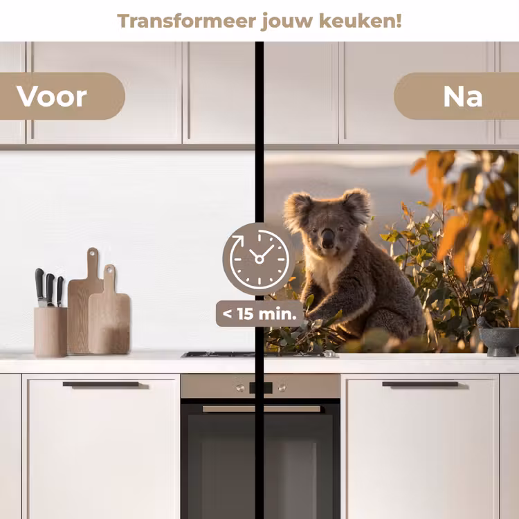 Keuken achterwand - Koala - Bladeren - Ochtendlicht — 3