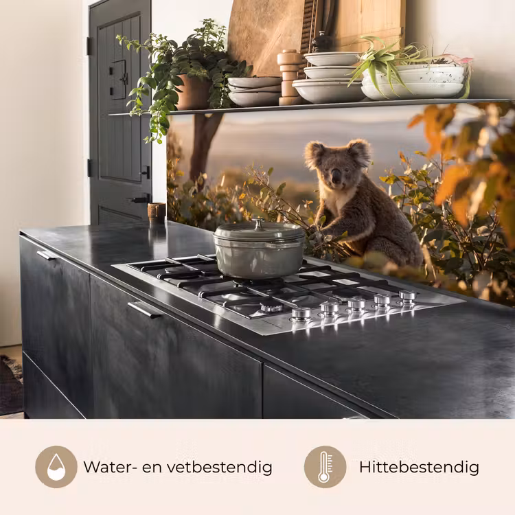 Keuken achterwand - Koala - Bladeren - Ochtendlicht — 5
