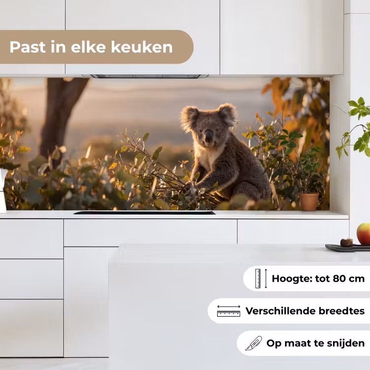 Keuken achterwand - Koala - Bladeren - Ochtendlicht — 7