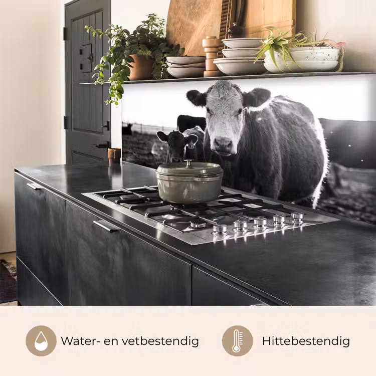 Keuken achterwand - Koeien - Zwart - Wit — 5