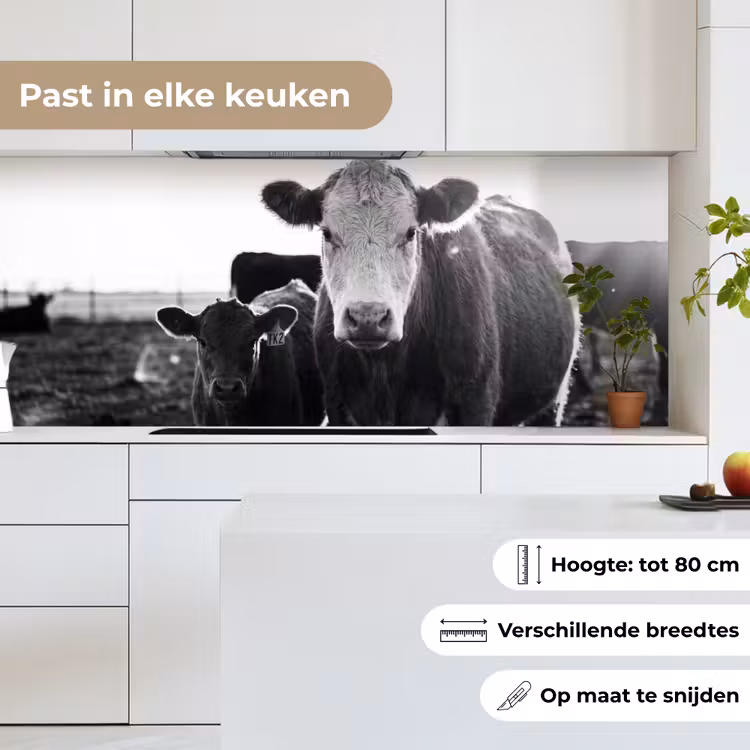Keuken achterwand - Koeien - Zwart - Wit — 7