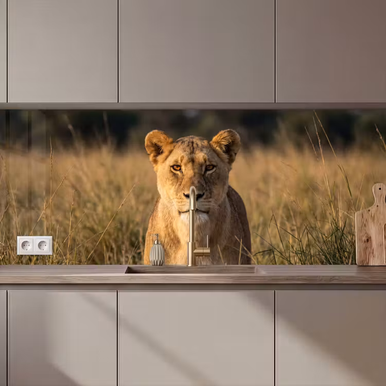 Keuken achterwand - Leeuwin - Gras - Geel — 1