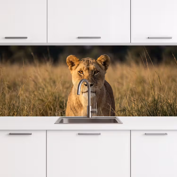 Keuken achterwand - Leeuwin - Gras - Geel — 4