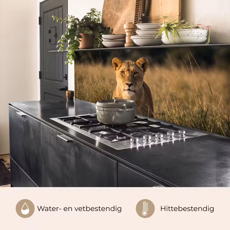 Keuken achterwand - Leeuwin - Gras - Geel — 5