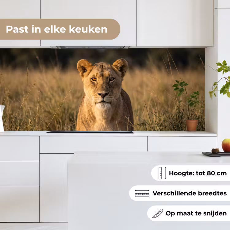 Keuken achterwand - Leeuwin - Gras - Geel — 7
