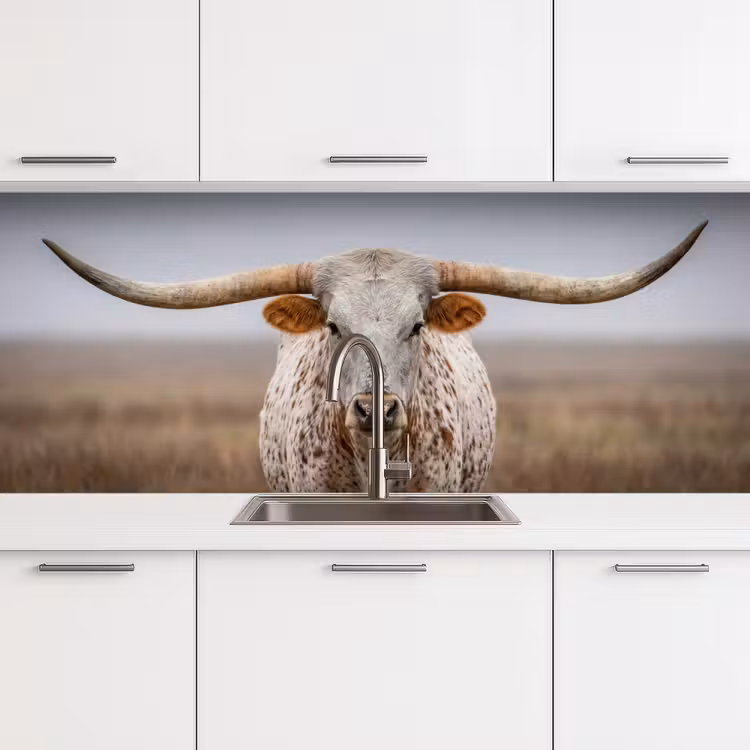 Keuken achterwand - Longhorn - Grasveld - Dier — 4