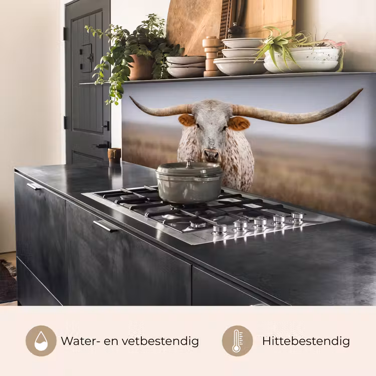 Keuken achterwand - Longhorn - Grasveld - Dier — 5