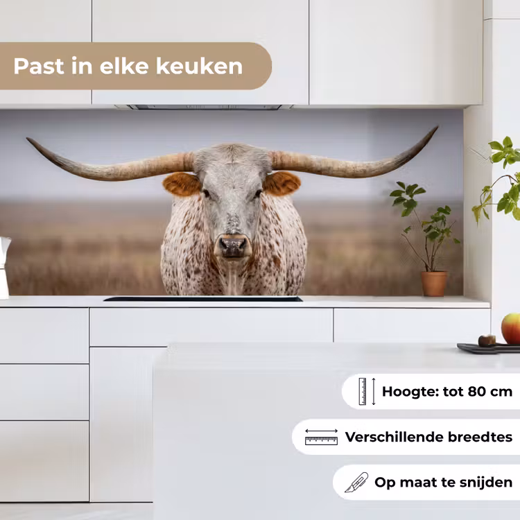 Keuken achterwand - Longhorn - Grasveld - Dier — 7
