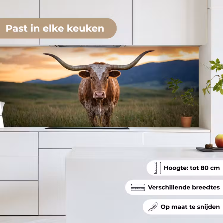 Keuken achterwand - Longhorn - Landschap - Zonsondergang — 7