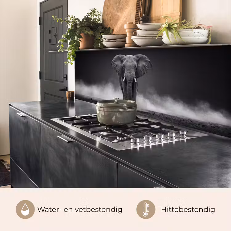 Keuken achterwand - Olifant - Zwart - Wit - Rook — 5