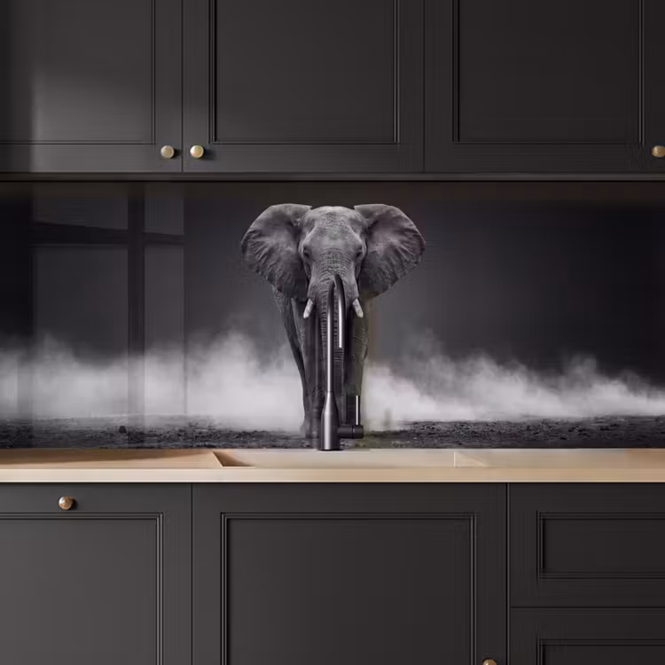 Keuken achterwand - Olifant - Zwart - Wit - Rook — 6