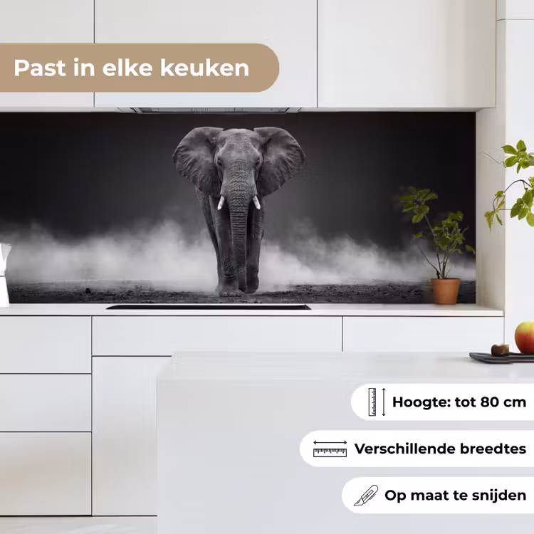 Keuken achterwand - Olifant - Zwart - Wit - Rook — 7