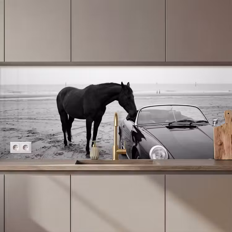 Keuken achterwand - Paard - Auto - Zwart - Wit — 1