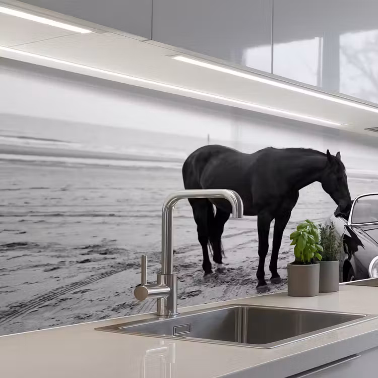 Keuken achterwand - Paard - Auto - Zwart - Wit — 2