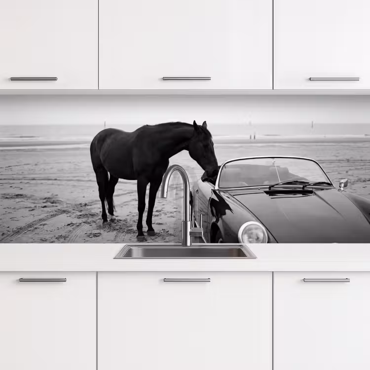 Keuken achterwand - Paard - Auto - Zwart - Wit — 4