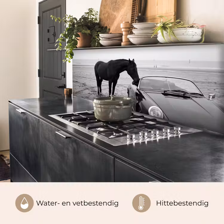Keuken achterwand - Paard - Auto - Zwart - Wit — 5