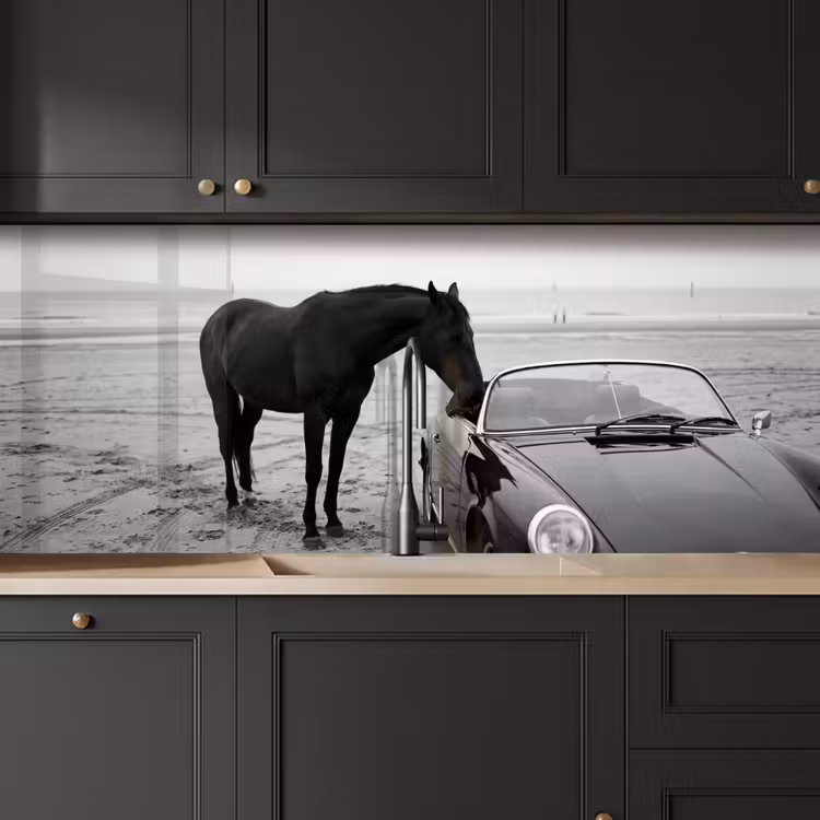 Keuken achterwand - Paard - Auto - Zwart - Wit — 6
