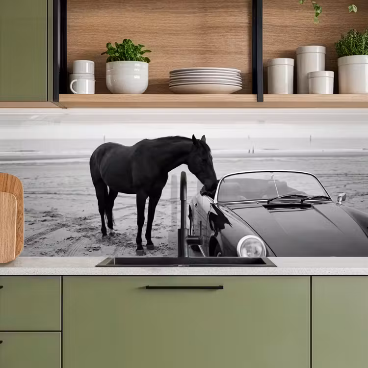 Keuken achterwand - Paard - Auto - Zwart - Wit — 8