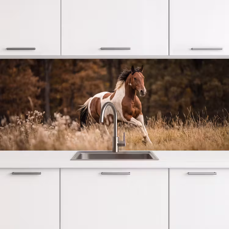 Keuken achterwand - Paard - Bruin - Gras — 4