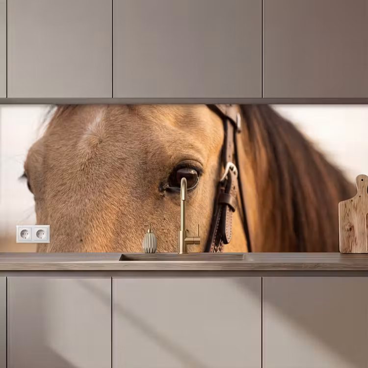 Keuken achterwand - Paard - Oog - Bruin — 1