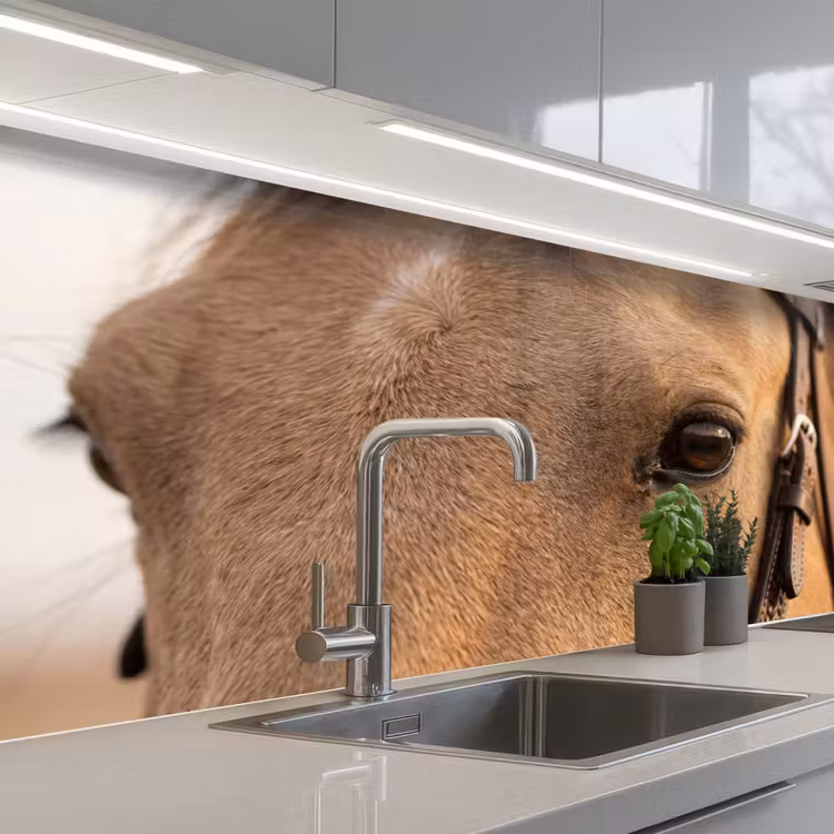 Keuken achterwand - Paard - Oog - Bruin — 2