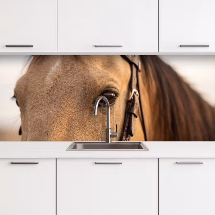 Keuken achterwand - Paard - Oog - Bruin — 4