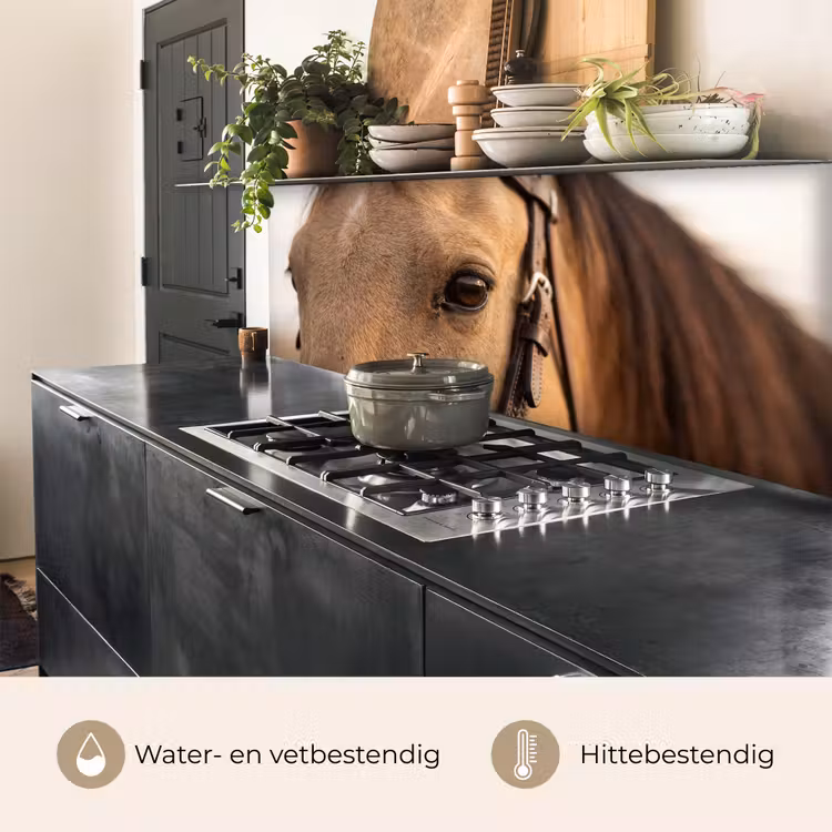 Keuken achterwand - Paard - Oog - Bruin — 5